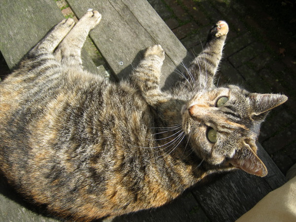 Ja Pien, ik ben er nog, geen reden tot klagen. Ga rustig door met de bewassing....