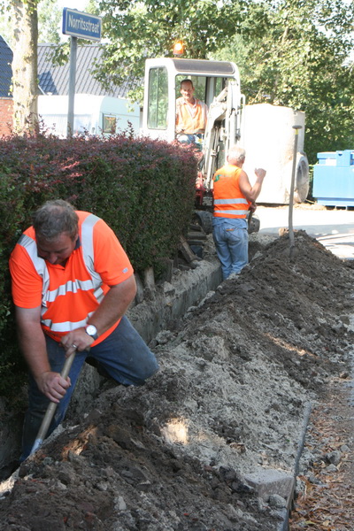 Nee, erg behaaglijk lijkt het me niet voor de handwerkers, bij de geniepig prikkende berberis....