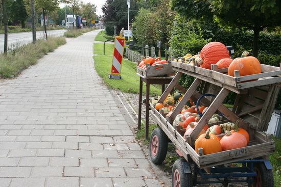 En voorbij het pompoenenstalletje zien we in de verte de gestremde brug. Inmiddels al weer verleden tijd..... Time runs!