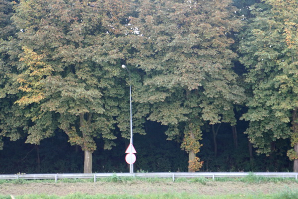 Soms zijn er bijna surrealistische beelden, zoals hier aan de overkant van het kanaal. Gezien vanaf Koopman-West...