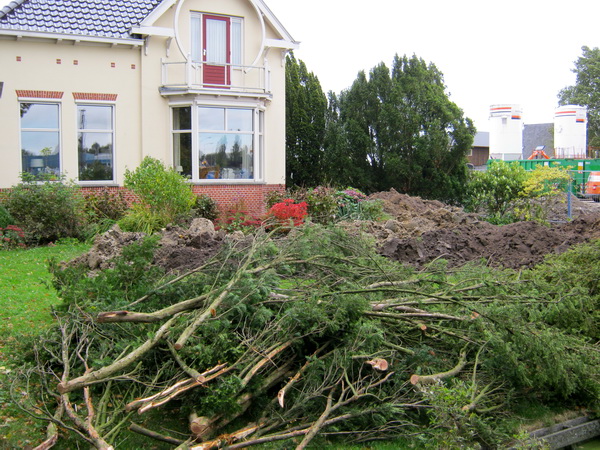 Dit slagveld met geslachtofferde coniferen en loopgraven had ik niet meer verwacht. Ongetwijfeld wordt er gecompenseerd, terecht....