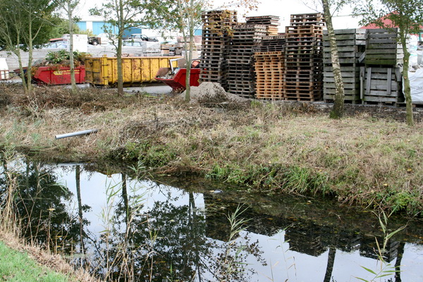 Gezien vanaf de Mokkenburgweg, de gesnoeide en opgeruimde walkant van de Schipsloot bij de gegroeide locatie van Hummel TuinTotaal...