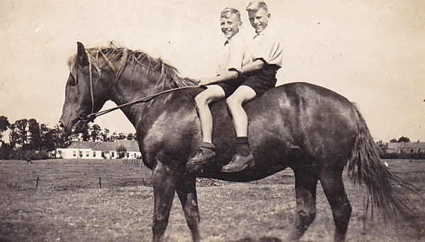 Arie en Loet Schelling op het paard van kweker Klaas van Dijk, enkele jaren na de oorlog, tijdens een zomervakantie.