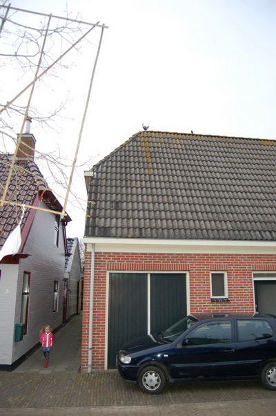 FM Kip op dak 02 DSC_0105 verkl