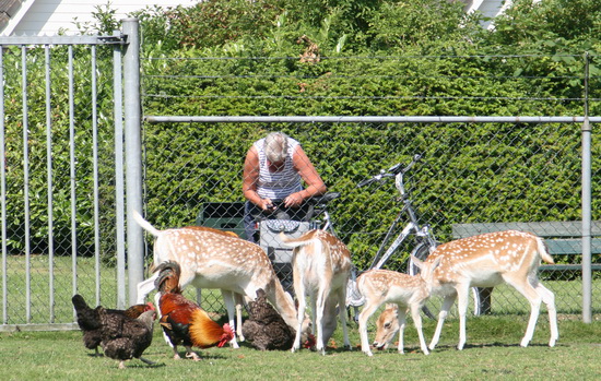 IMG_9892   crop verkl