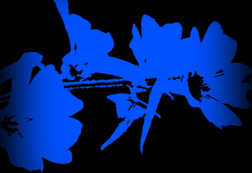 IMG_9927 cropSE2 verkl