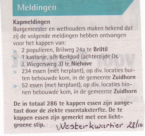 2014-10-23 16-58-17_3783 verkl