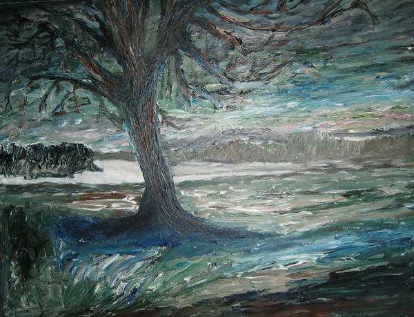 't Haanveld (Limburg)