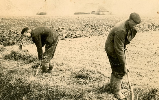 Boerenarbeiders verkl
