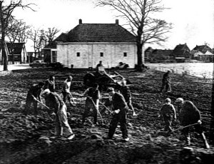 IMG knipsels_0008 web