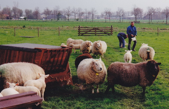 2015-09-21 16-56-57_5384 crop web