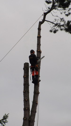 mvi_1776_moment11nhv