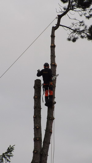 mvi_1776_moment12nhv