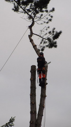 mvi_1776_moment14nhv