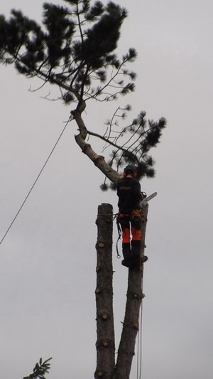 mvi_1776_moment15nhv